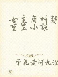 女主角叫楚瑜的重生小说