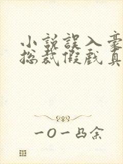 小说误入豪门,总裁假戏真做结局