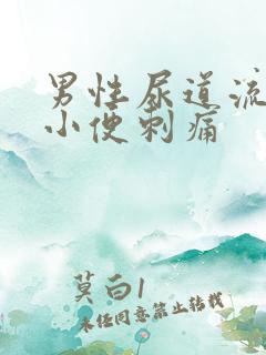 男性尿道流脓,小便刺痛