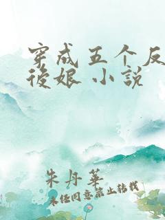穿成五个反派的后娘 小说