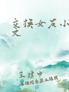 交换女友小说全文