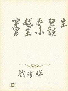 穿越哥儿生子双男主小说