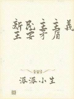 新民主主义革命主要矛盾