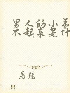 男人的小弟弟硬不起来是什么原因