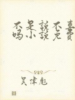 不是说不喜欢我吗小说免费阅读