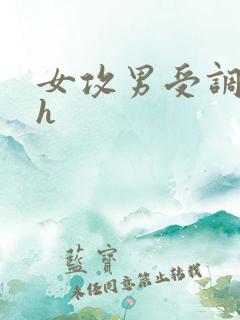 女攻男受调教高h