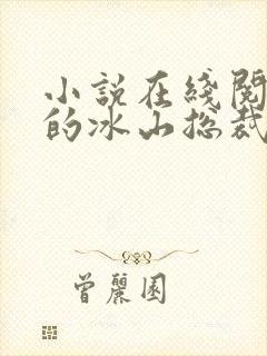 小说在线阅读我的冰山总裁老婆