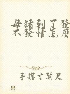 母猪到了发情期不发情怎么办