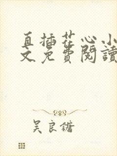 直插花心小说全文免费阅读最新章节