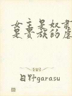 女主是奴隶男主是贵族的虐文古言