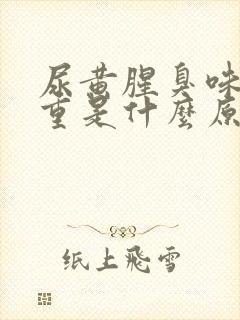 尿黄腥臭味特别重是什么原因