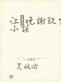 江萩晚谢玖宸的小说