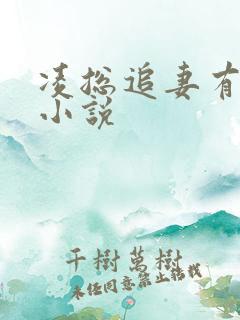 凌总追妻有点甜小说