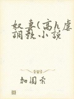 奴妻(高h虐身调教小说