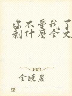 你不爱我了我还剩什么全文免费阅读