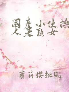 国产小伙搡老女人老熟女