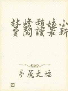 林峰赵姨小说免费阅读最新章节