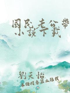 国民老公带回家 小说下载