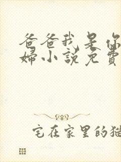 爸爸我是你儿媳妇小说免费阅读