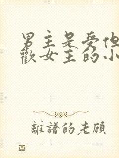 男主是受但是喜欢女主的小说