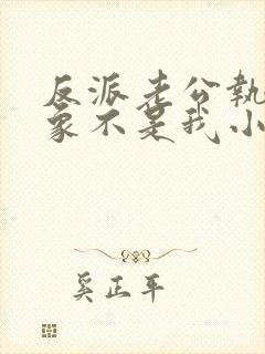 反派老公执着对象不是我小说