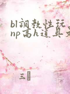 bl调教性玩具np高h道具文