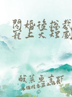 闪婚后总裁把我宠上天短剧