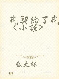 我契约了我自己〈小说>