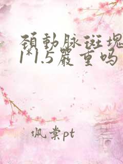 颈动脉斑块5.1*1.5严重吗