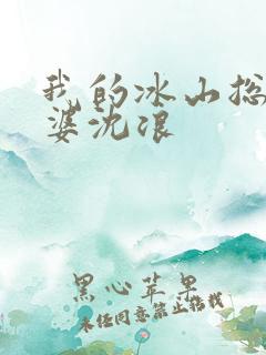 我的冰山总裁老婆沈浪