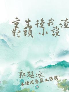 重生后我渣了死对头 小说