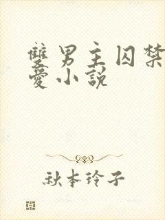 双男主囚禁强制爱小说