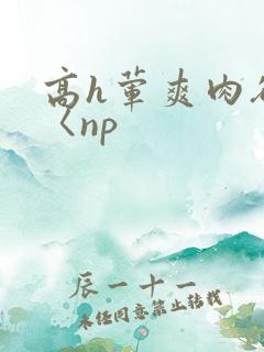 高h荤爽肉欲文〈np