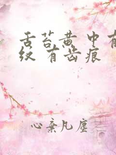 舌苔黄 中有裂纹 有齿痕