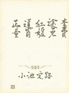 正道红途李初年童肖媛免费阅读