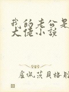 我的老公是女装大佬小说