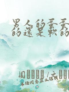 男人的蛋蛋是硬的还是软的