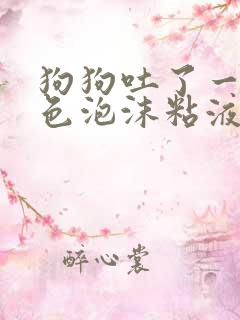 狗狗吐了一滩白色泡沫粘液还拉稀