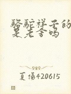 骆驼祥子的作者是老舍吗