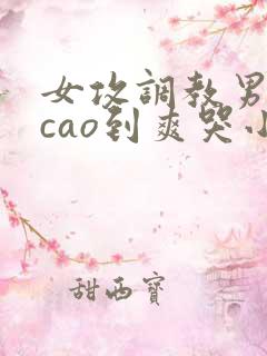 女攻调教男主被cao到爽哭小说最新章