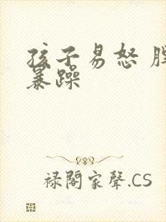 孩子易怒 脾气暴躁