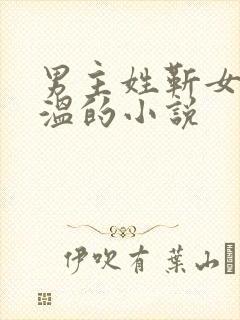 男主姓靳女主姓温的小说