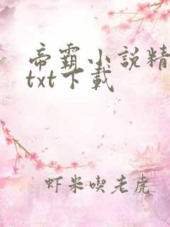 帝霸小说精校版txt下载