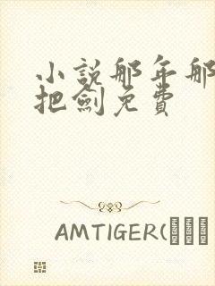 小说那年那蝉那把剑免费