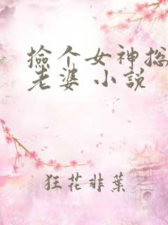 捡个女神总裁当老婆 小说