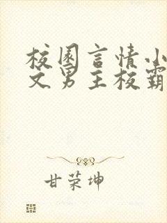 校园言情小说甜文男主校霸