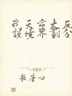 我天命大反派小说境界划分