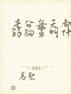 老公每天都要戴的胸罩叫什么