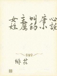 女主叫唐心男主姓厉的小说