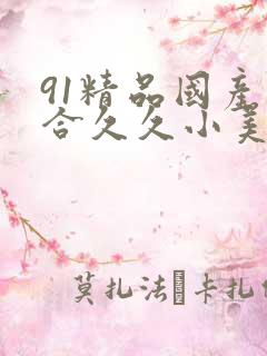 91精品国产综合久久小美女